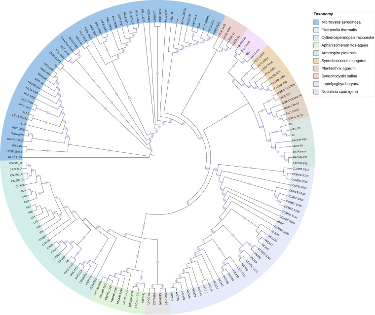 Cyanobacterial blooms selection teaser